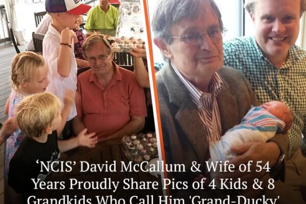 David McCallum Stepped Back From âNCISââThe Heartbreaking Reason Why!